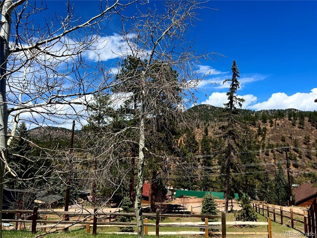 10580 Illinois Ave, Green Mountain Falls, CO 80819 - photo 44