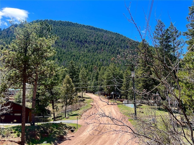 10580 Illinois Ave, Green Mountain Falls, CO 80819 - photo 45