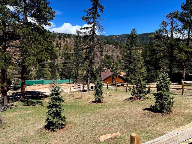 10580 Illinois Ave, Green Mountain Falls, CO 80819 - photo 39