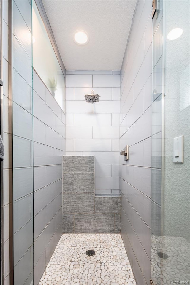 1323 Elati St Unit 3, Denver, CO 80204 - bathroom with tiled shower