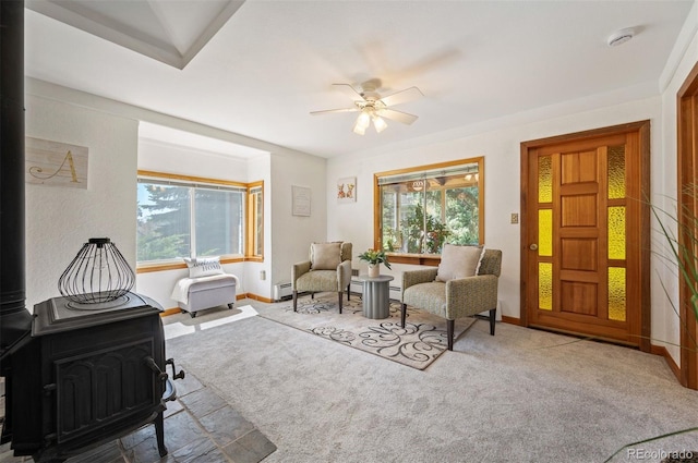10039 S Turkey Creek Rd, Morrison, CO 80465 - photo 11