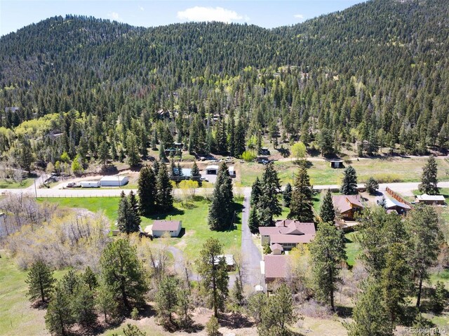 10039 S Turkey Creek Rd, Morrison, CO 80465 - photo 44