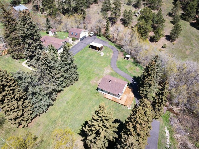 10039 S Turkey Creek Rd, Morrison, CO 80465 - photo 47