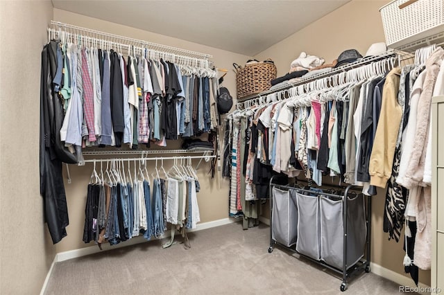 3319 Starry Night Loop, Castle Rock, CO 80109 - walk in closet with carpet flooring