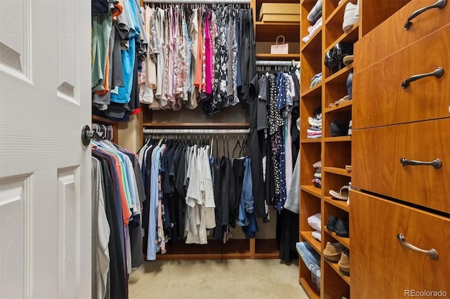 3540 Brushwood Dr, Castle Rock, CO 80109 - spacious closet with carpet flooring