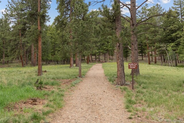 1845 Burland Dr, Bailey, CO 80421