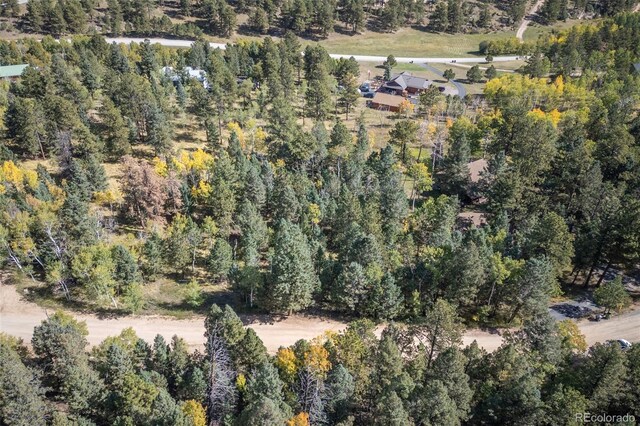 1845 Burland Dr, Bailey, CO 80421