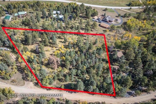 1845 Burland Dr, Bailey, CO 80421