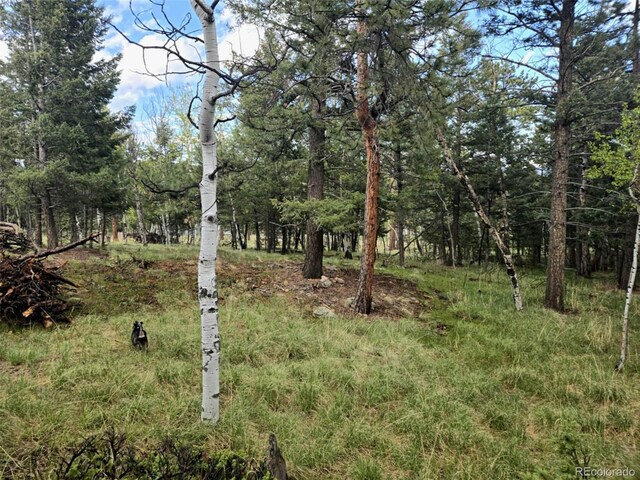 1845 Burland Dr, Bailey, CO 80421