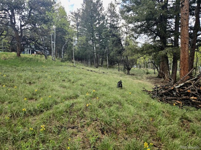 1845 Burland Dr, Bailey, CO 80421