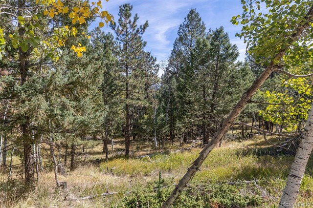 1845 Burland Dr, Bailey, CO 80421