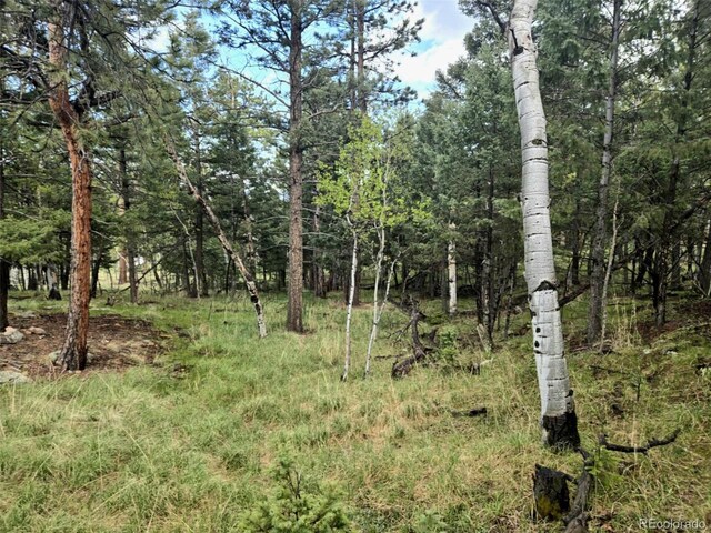 1845 Burland Dr, Bailey, CO 80421