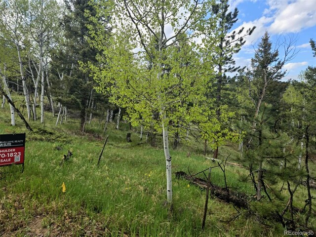 1845 Burland Dr, Bailey, CO 80421