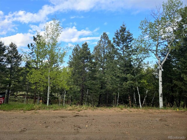 1845 Burland Dr, Bailey, CO 80421