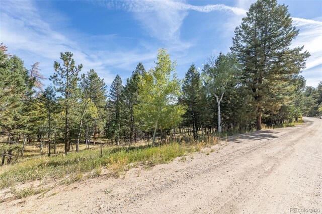 1845 Burland Dr, Bailey, CO 80421