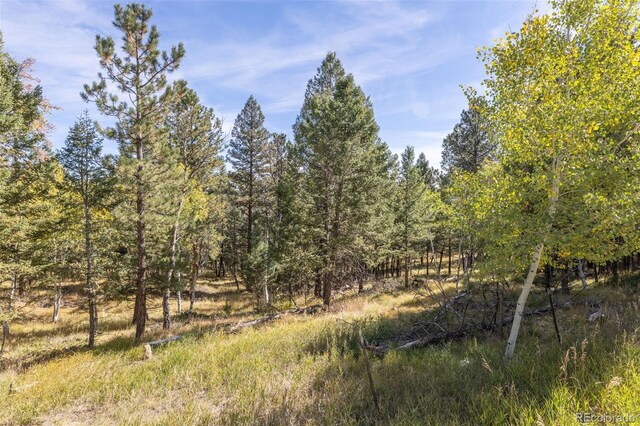 1845 Burland Dr, Bailey, CO 80421