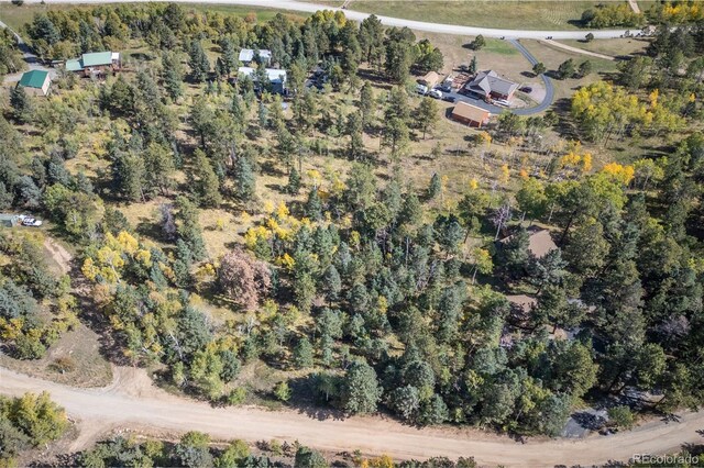 1845 Burland Dr, Bailey, CO 80421