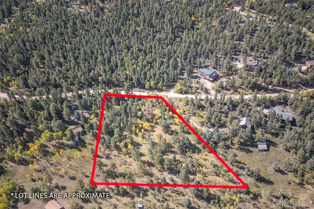 1845 Burland Dr, Bailey, CO 80421