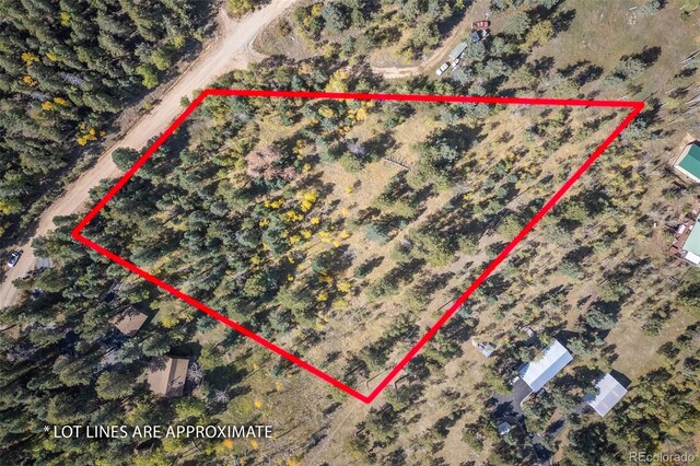 1845 Burland Dr, Bailey, CO 80421