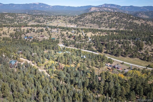 1845 Burland Dr, Bailey, CO 80421