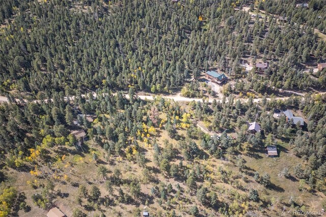 1845 Burland Dr, Bailey, CO 80421