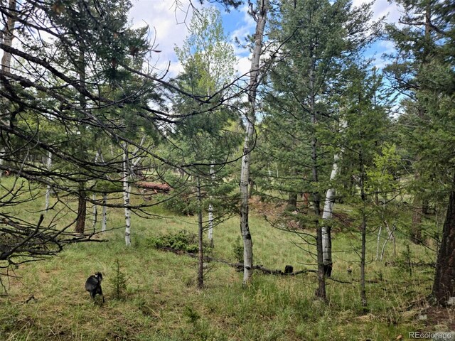 1845 Burland Dr, Bailey, CO 80421