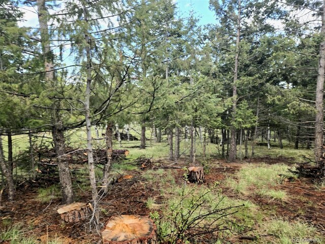 1845 Burland Dr, Bailey, CO 80421