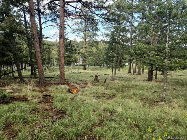 1845 Burland Dr, Bailey, CO 80421