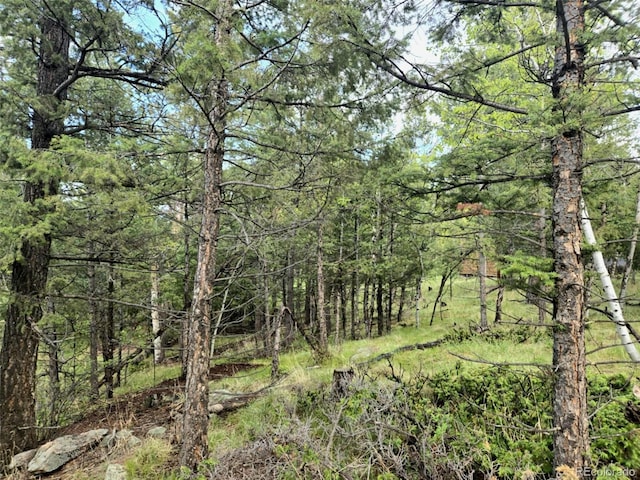 1845 Burland Dr, Bailey, CO 80421