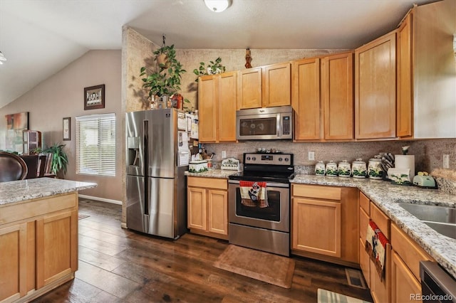 4759 Mt Princeton, Brighton, CO 80601 - kitchen featuring stainless steel appliances, vaulted ceiling, dark wood-style floors, decorative backsplash, and light stone counters