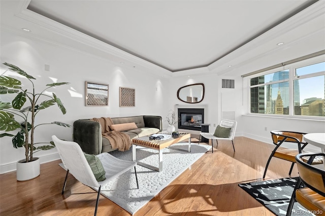 living room with a raised ceiling and wood-type flooring