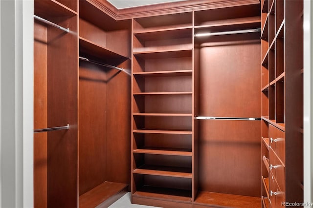 view of walk in closet