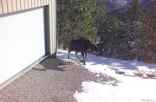 8077 Drew Hill Rd, Golden, CO 80403