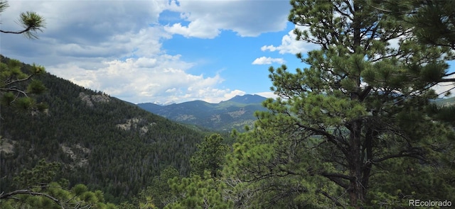 8077 Drew Hill Rd, Golden, CO 80403