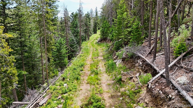8077 Drew Hill Rd, Golden, CO 80403