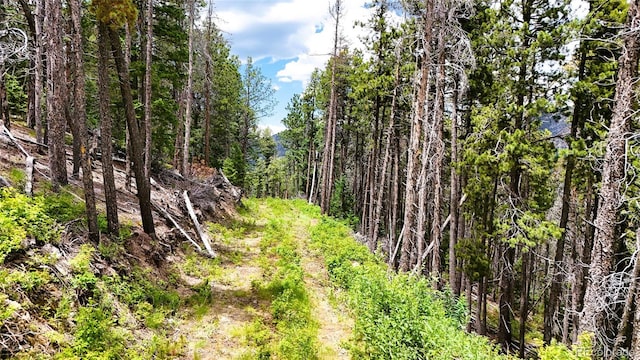 8077 Drew Hill Rd, Golden, CO 80403