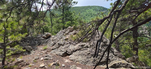 8077 Drew Hill Rd, Golden, CO 80403