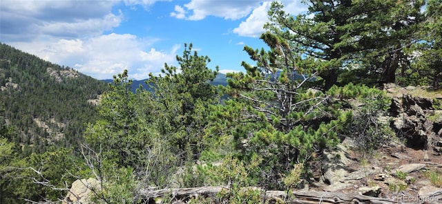 8077 Drew Hill Rd, Golden, CO 80403