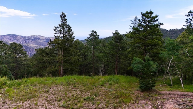 8077 Drew Hill Rd, Golden, CO 80403