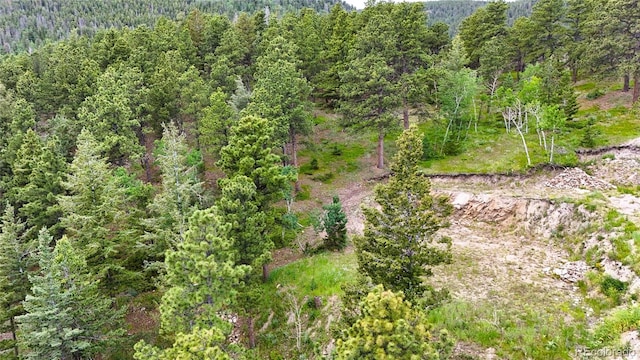 8077 Drew Hill Rd, Golden, CO 80403
