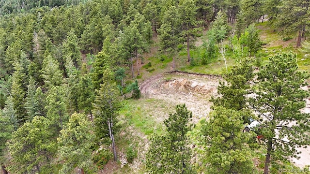 8077 Drew Hill Rd, Golden, CO 80403