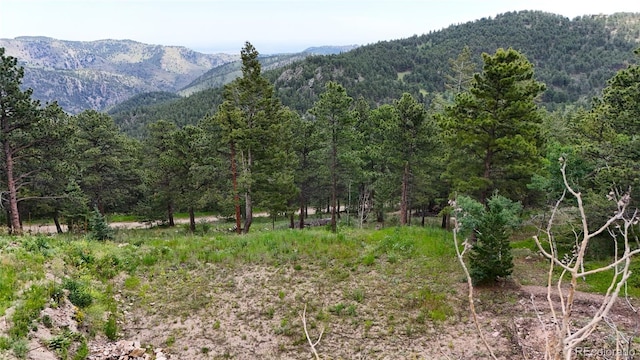 8077 Drew Hill Rd, Golden, CO 80403