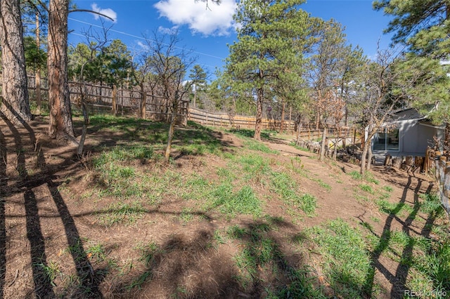 721 Forest View Rd, Monument, CO 80132 - view of yard