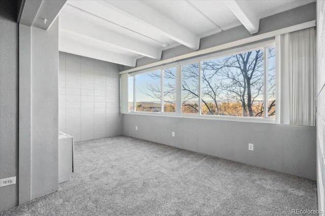 1888 S Jackson St Unit 604, Denver, CO 80210 - photo 14