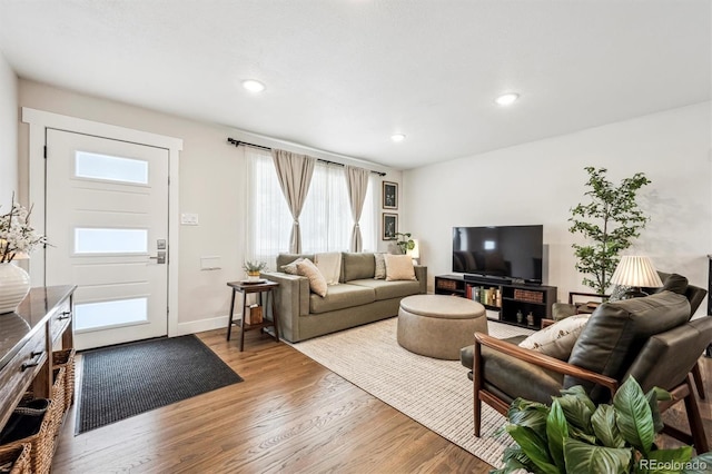 living room featuring hardwood / wood-style flooring