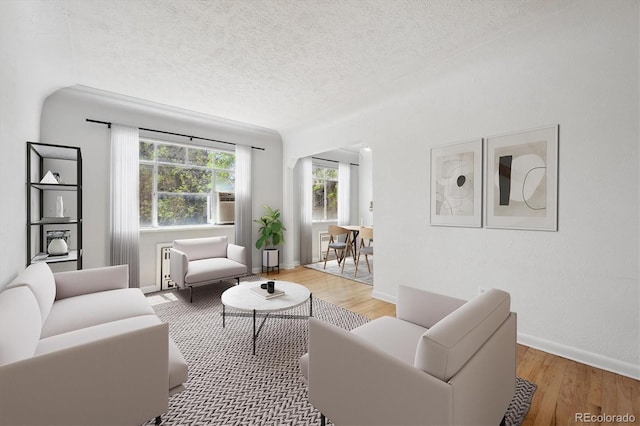 1130 N Pennsylvania St Unit 208, Denver, CO 80203 - living room with light wood finished floors and a textured ceiling