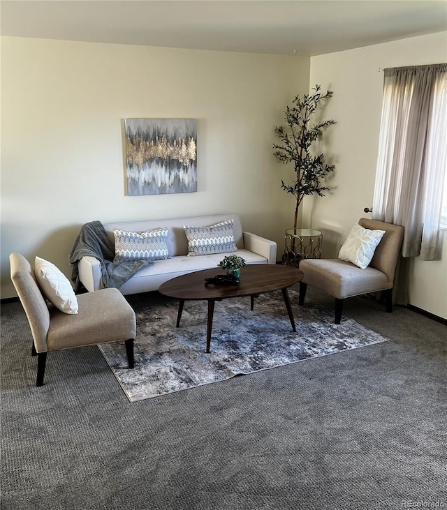 living room featuring dark colored carpet