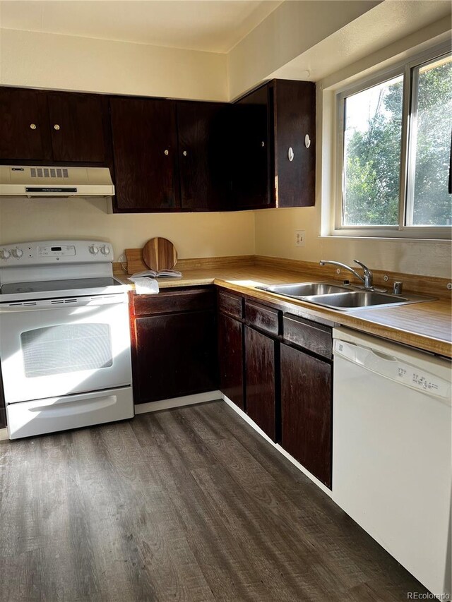 1810 Winnebago Rd, Colorado Springs, CO 80915 - photo 7