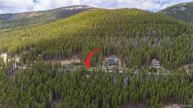542 Harris Dr, Idaho Springs, CO 80452 - photo 29