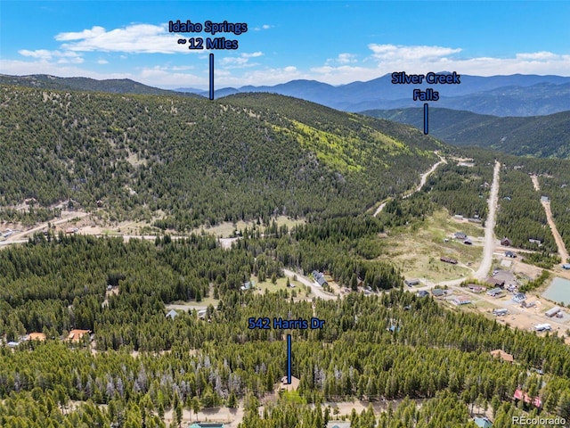 542 Harris Dr, Idaho Springs, CO 80452 - photo 33